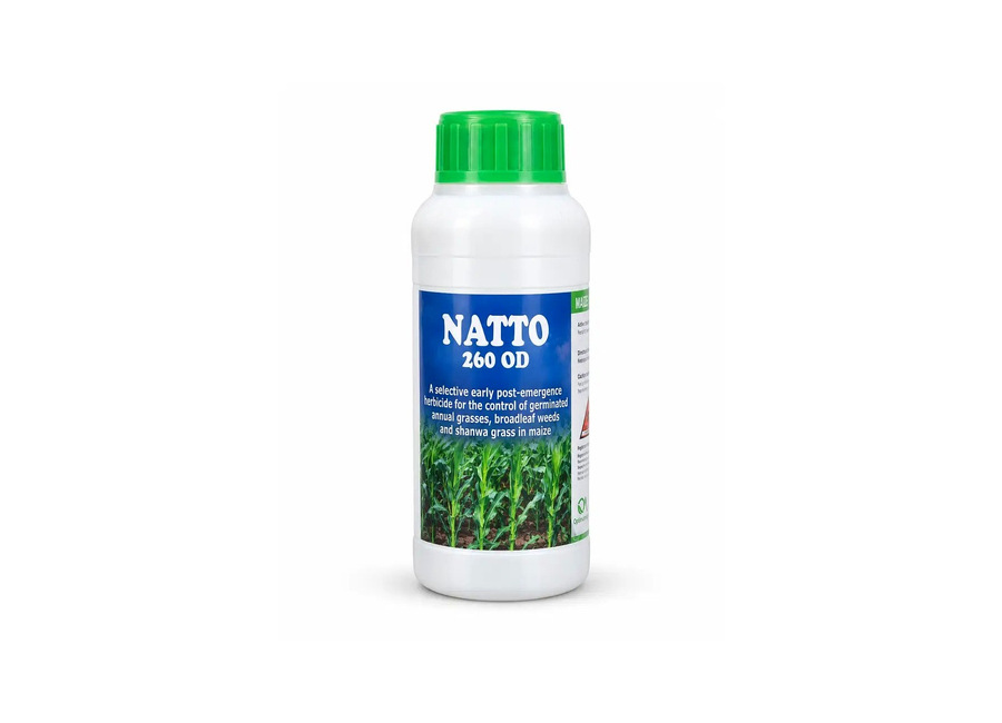 Natto 260 OD