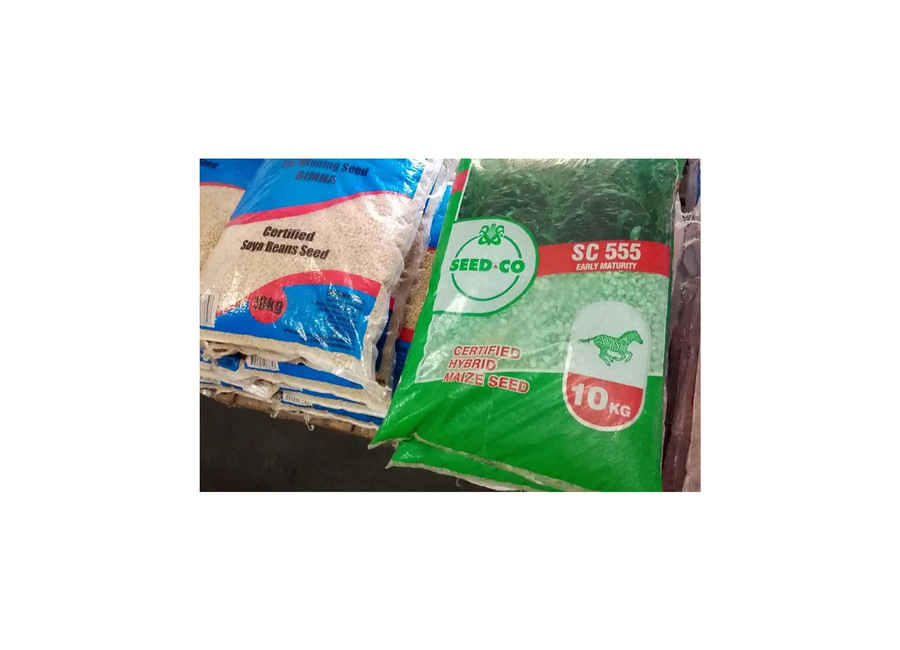Seed Co SC 555 Certified Hybrid Maize Seed